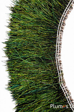 Pauw blauw franje - draadlengte 15-20 cm - natuurlijk